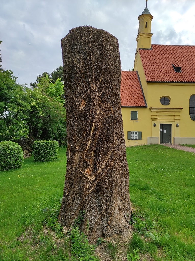 IMG_20210604_075832_web